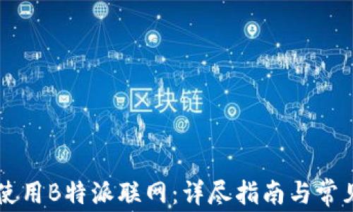 
    如何使用B特派联网：详尽指南与常见问题解答