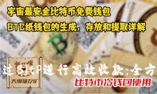 如何通过BitP进行高效收款：全方位指南