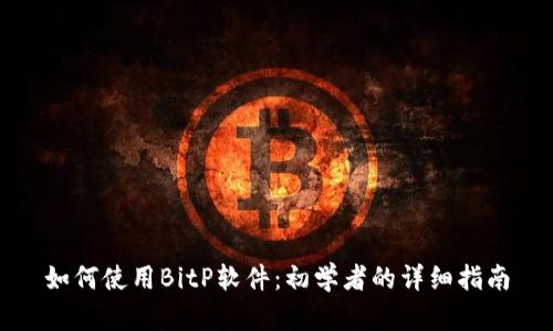如何使用BitP软件：初学者的详细指南