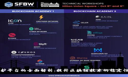 区块链维护平台的全面解析：提升区块链技术的稳定性与可靠性