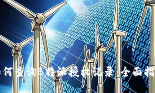 如何查询B特派授权记录：全面指南