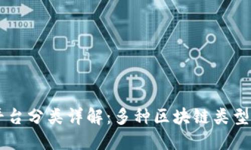 区块链平台分类详解：多种区块链类型及其应用