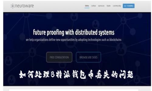 如何处理B特派钱包币丢失的问题