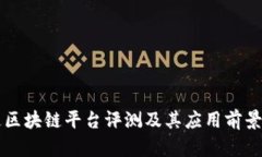 大通区块链平台评测及其