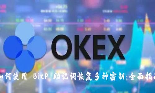 如何使用 BitP 助记词恢复多种密钥：全面指南