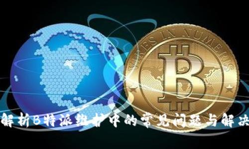 全面解析B特派维护中的常见问题与解决方案