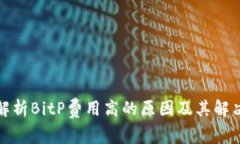 全面解析BitP费用高的原因