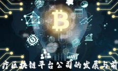 湖北医疗区块链平台公司