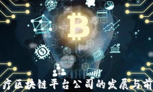 
湖北医疗区块链平台公司的发展与前景分析