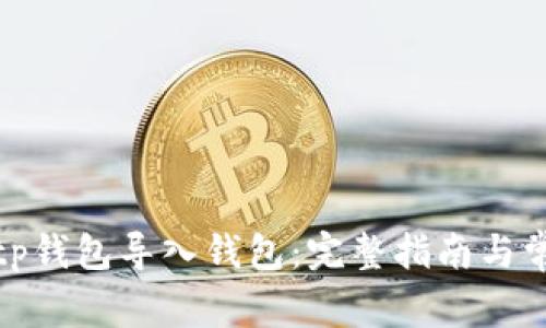 如何使用Bitp钱包导入钱包：完整指南与常见问题解答