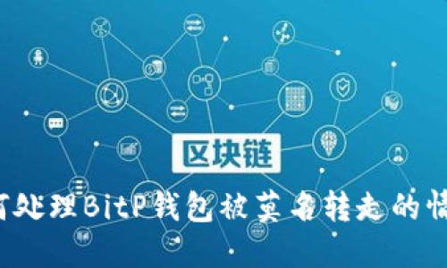 如何处理BitP钱包被莫名转走的情况？