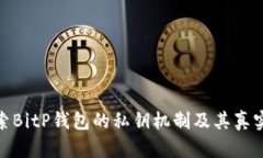 探索BitP钱包的私钥机制及