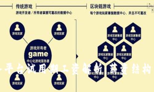区块链服务平台试用期工资解析：薪资结构与薪酬趋势