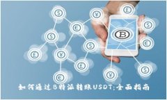 如何通过B特派转账USDT：全面指南