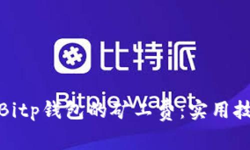 如何降低Bitp钱包的矿工费：实用技巧与建议